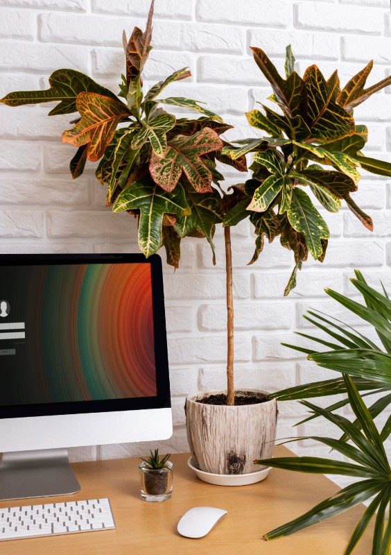 Правила зонирования рабочего места