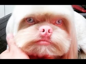 Фото редких животных и растений, о существовании которых многие точно не знали 