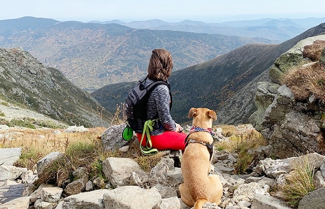 Пес на склоне