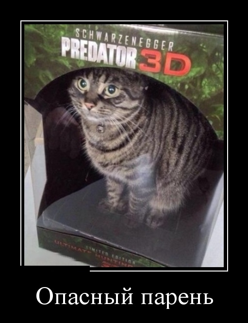 Демотиваторы на понедельник 22 октября 