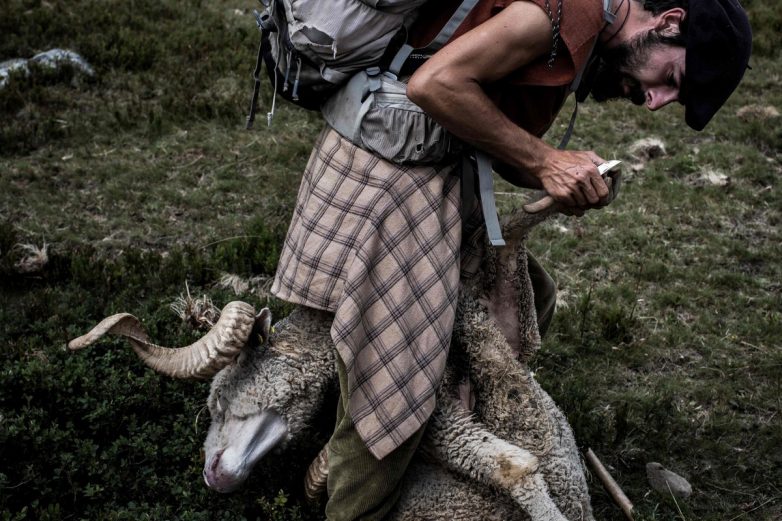 Альпы, овцы, свобода! Жизнь французского пастуха Альпы, овцы, свобода! Жизнь французского пастуха