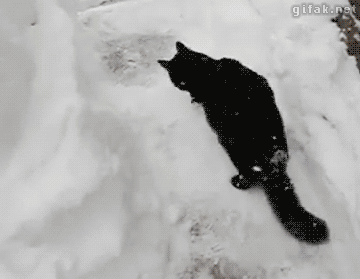 Подборка позитивных и веселых гифок Подборка позитивных и веселых гифок