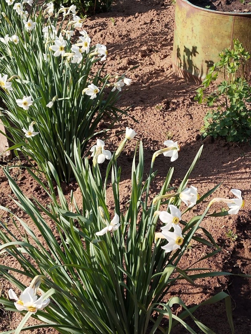 Прошлой осенью мы ездили в гости к друзьям Московская обл,[807356]