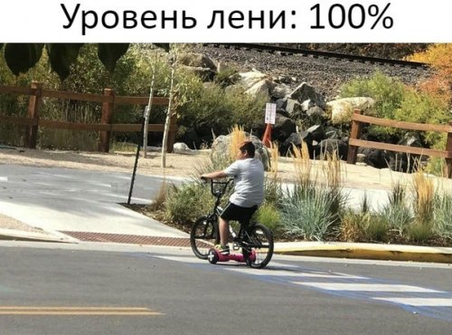 Порция фотомемов 