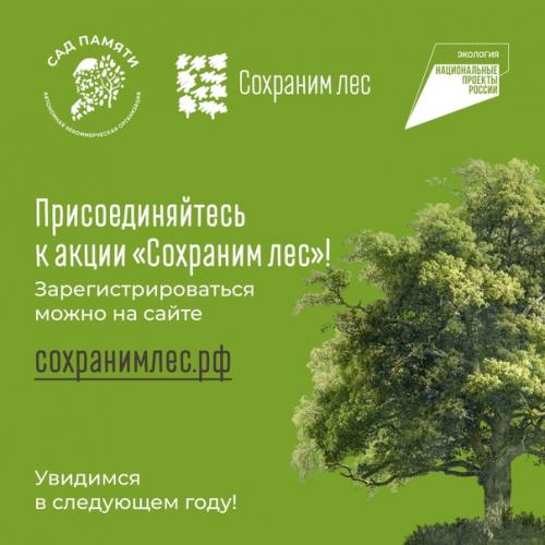 Более 70 млн новых деревьев появилось в России. 08