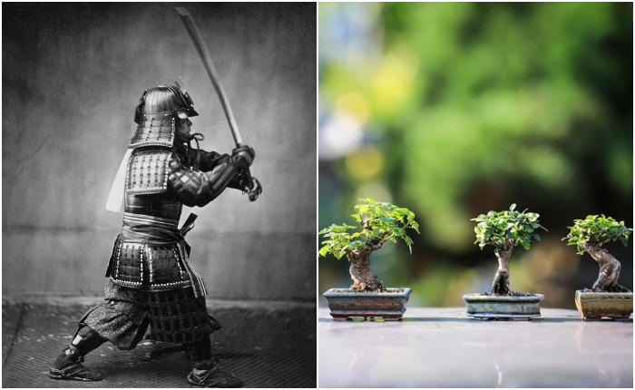 Какие правила соблюдали японские самураи, и Что должны были делать их жёны, если овдовели