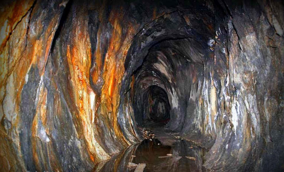 Собака охотников прыгнула в нору и пропала: люди начали копать и нашли целую сеть подземных тоннелей. Видео