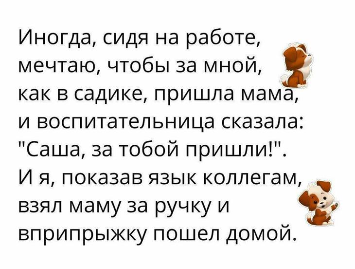 20 крутых анекдотов, шуток и историй с просторов Сети, чтоб посмеяться от души 