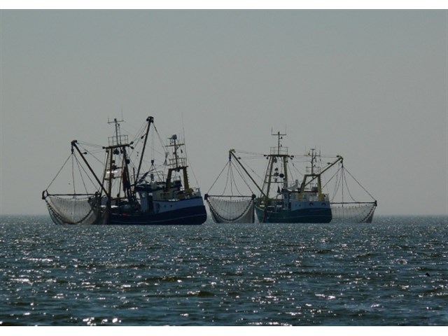 Эффективность или безумие? Что даст сокращение российских рыбаков? Эффективность или безумие? Что даст сокращение российских рыбаков? россия