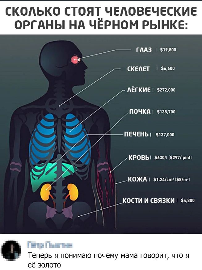 Прикольные картинки с надписями ржачные 