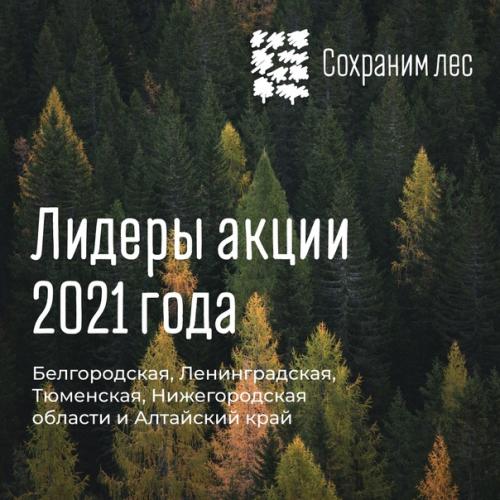 Более 70 млн новых деревьев появилось в России. 04