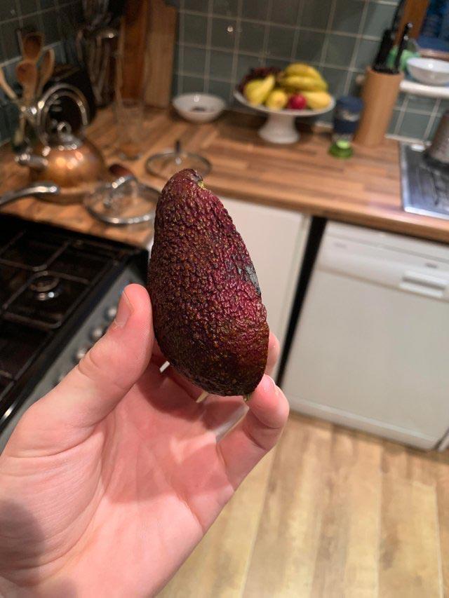 Фото редких животных и растений, о существовании которых многие точно не знали 