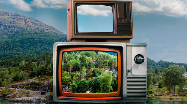 Два телевизора на фоне природы