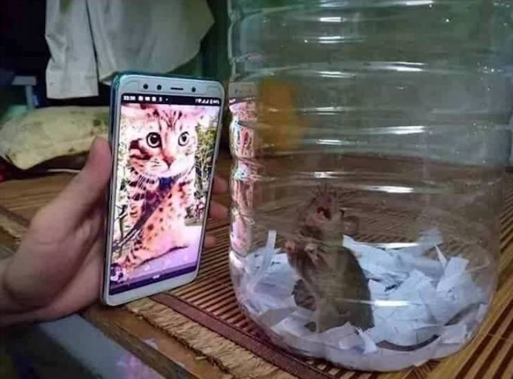 Подборка прикольных картинок Подборка прикольных картинок приколы,смешные картинки,юмор