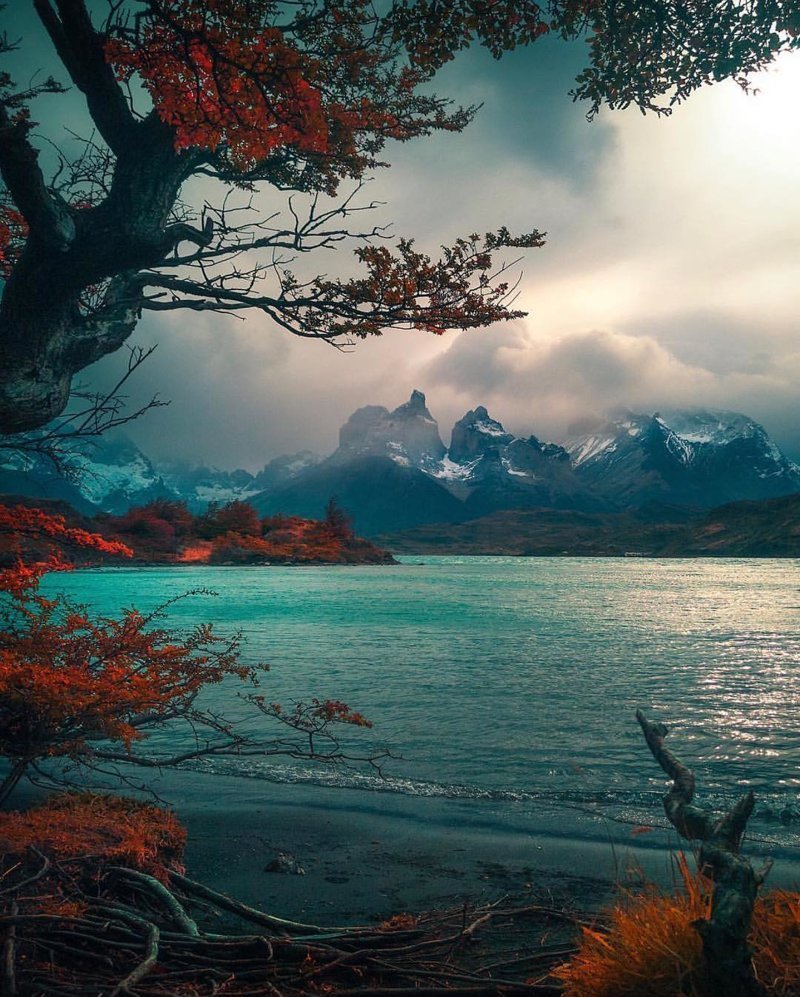 Torres del Paine, Chile Torres del Paine, Chile красивые места, мир, планета, природа, путешествия