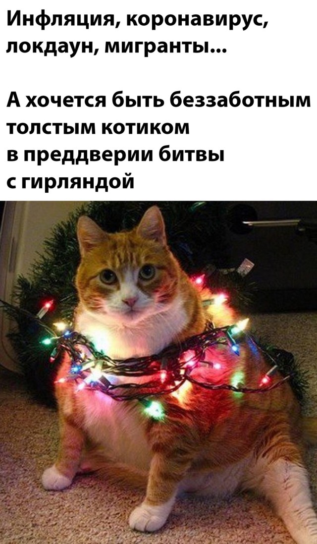 Подборка прикольных картинок Подборка прикольных картинок приколы,смешные картинки,юмор