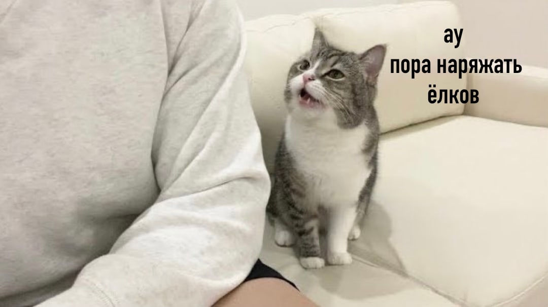 Юмор из интернета 685 Юмор из интернета 685 позитив,смех,улыбки,юмор