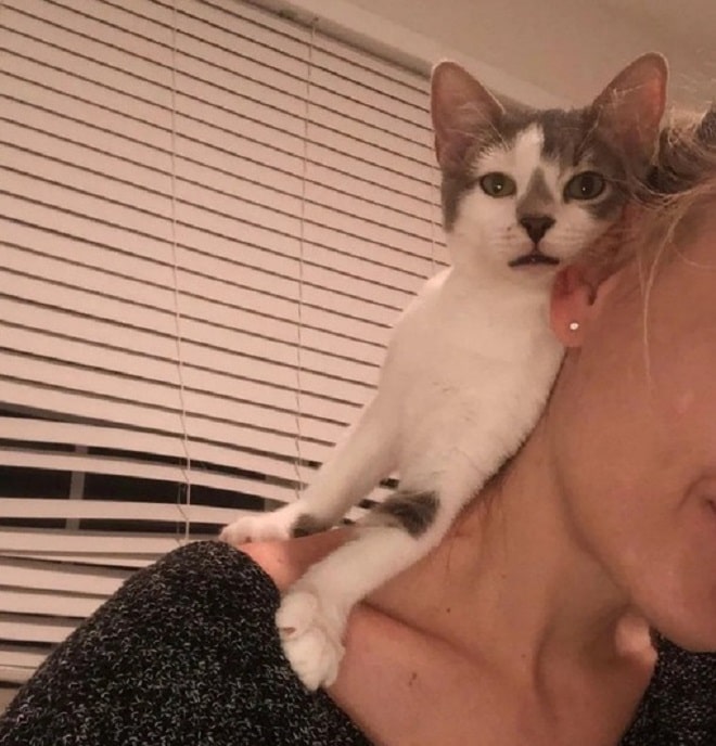 Котенок с женщиной 