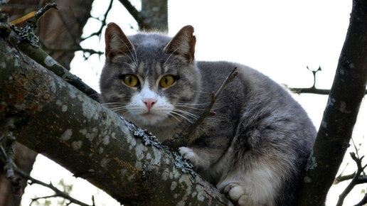 Верить и ждать