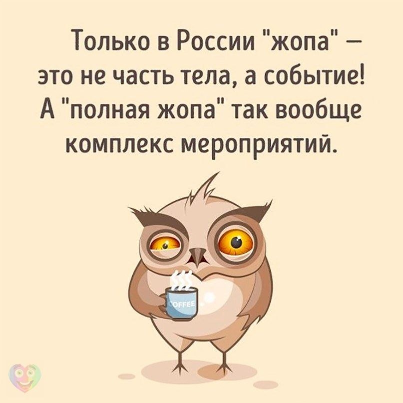 Забавные жизненные надписи к картинкам и фотография со смыслом Забавные жизненные надписи к картинкам и фотография со смыслом