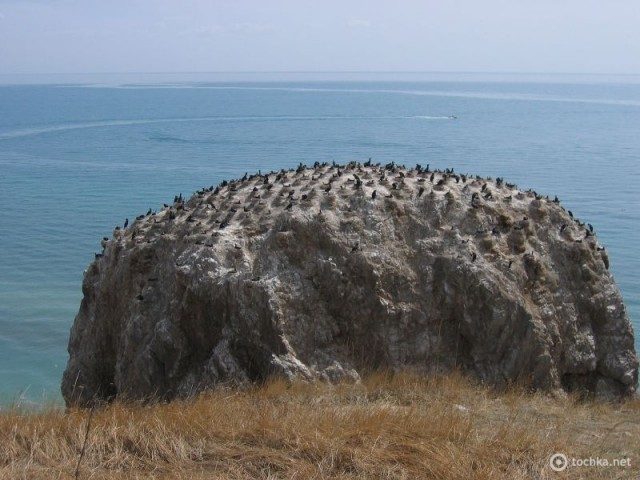 Цхинайские зарисовки