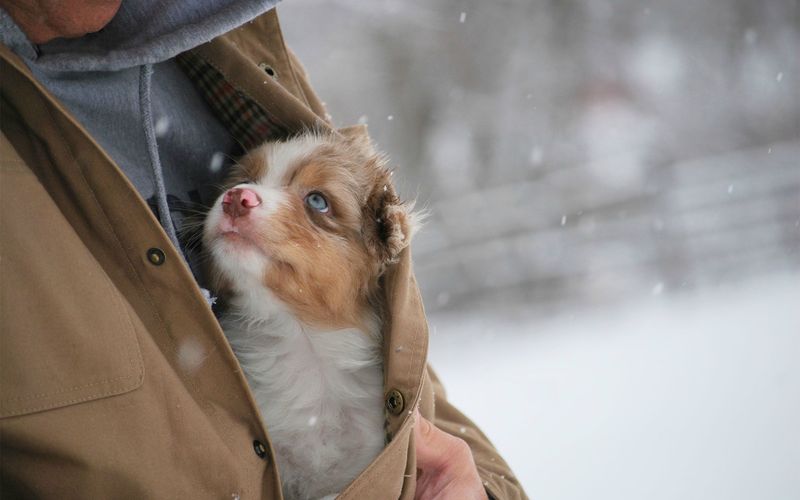 Больше чем фото Больше чем фото дети,животные,моменты,общество,фотография,эмоции