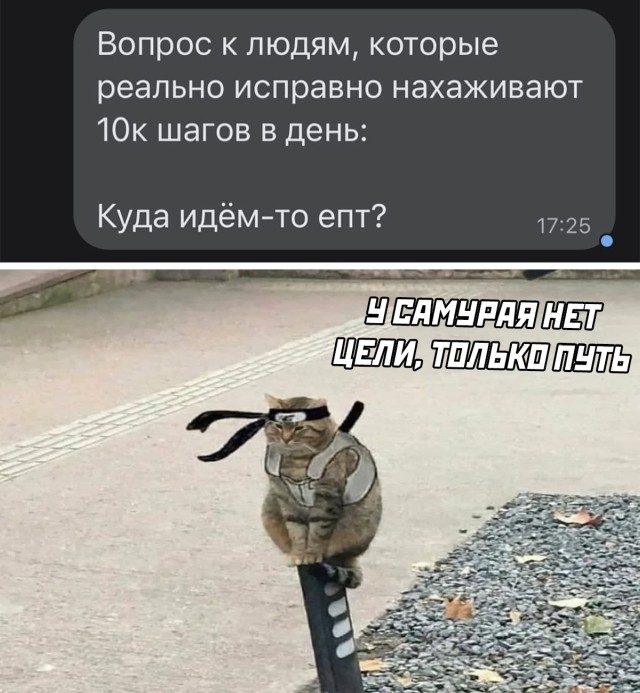 Подборка прикольных картинок  приколы,смешные картинки,юмор