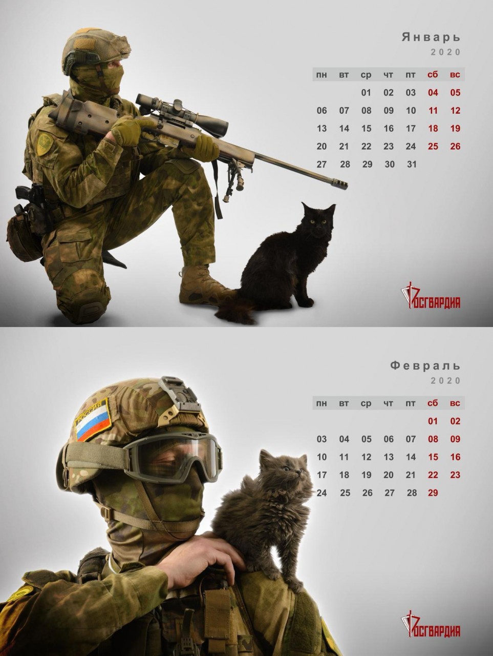 Календарь от Росгвардии с котиками