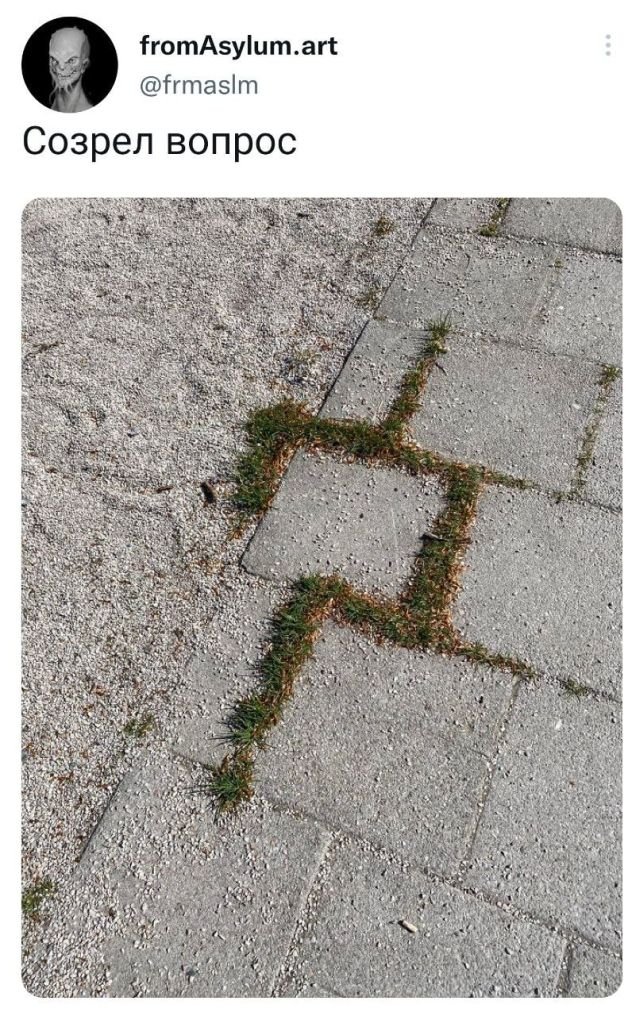 Подборка забавных твитов обо всем Подборка забавных твитов обо всем