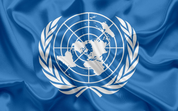Всемирная федерация ассоциаций содействия ООН