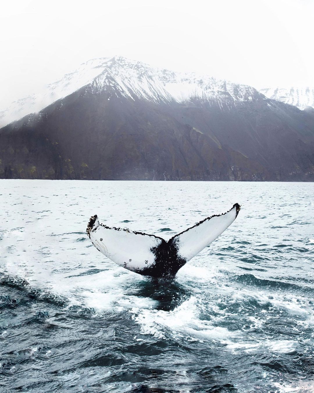 Жизнь как путешествие: девушка колесит по миру и делится снимками нашей планеты 