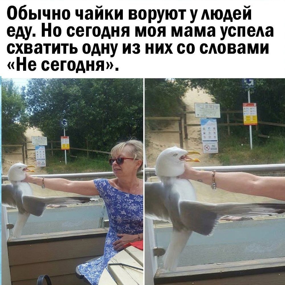 Юмор из интернета 685