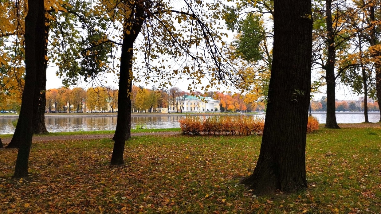 Вильфанд: золотая осень в ЦФО продлится до конца рабочей недели