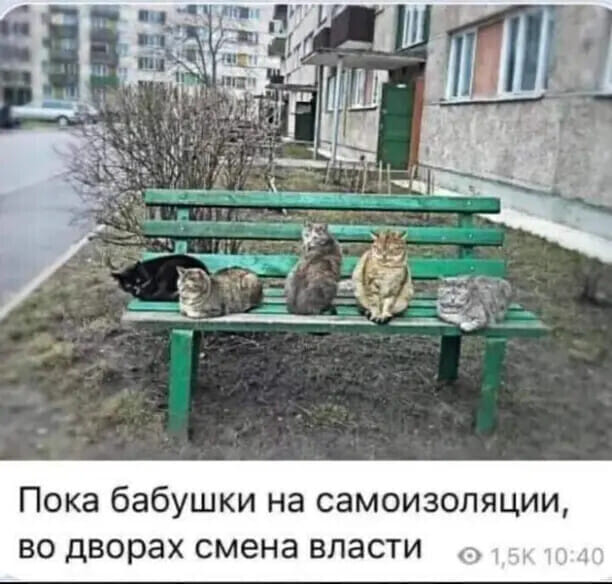 Юмор из интернета 669 Юмор из интернета 669 позитив,смех,улыбки,юмор