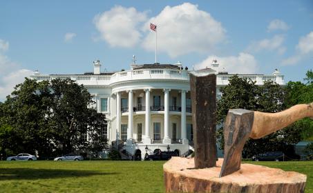 Принцип «клин клином вышибают» в международной политике