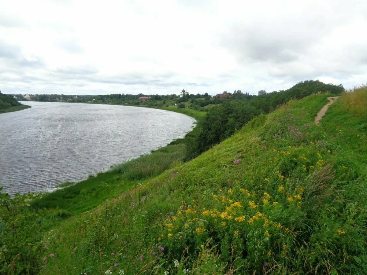 Берег реки Волхов. Фото взято из открытых источников.