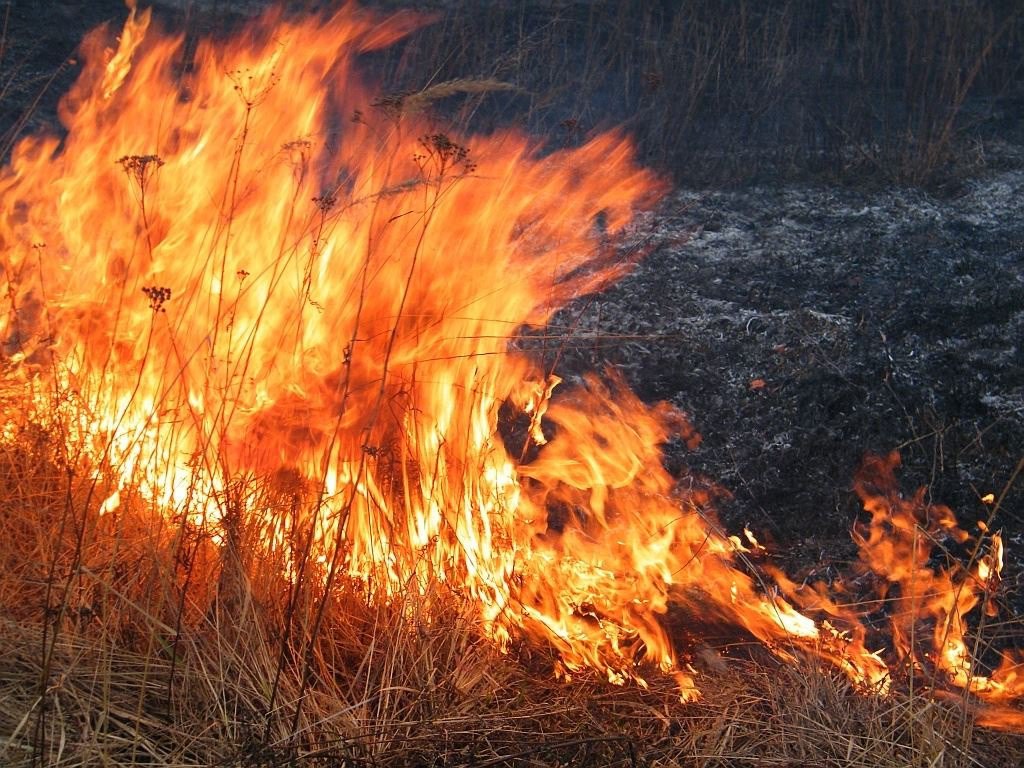 8 пожаров зарегистрировали в Чите в День города