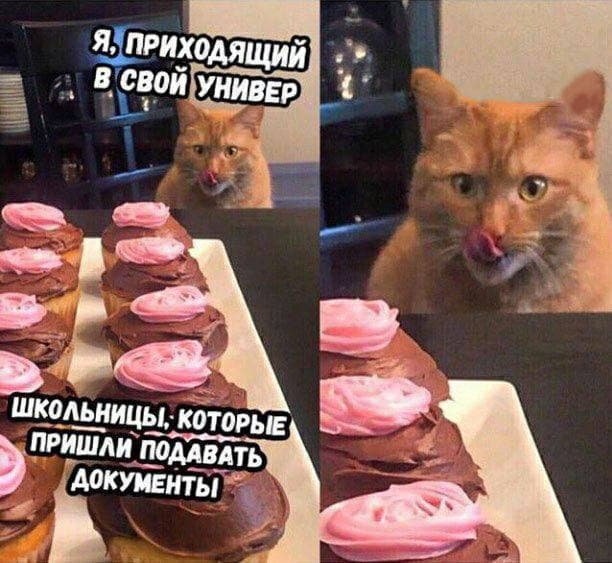 Мемы и приколы про отношения и еще "кое-что" Мемы и приколы про отношения и еще "кое-что" позитив,смешные картинки,юмор