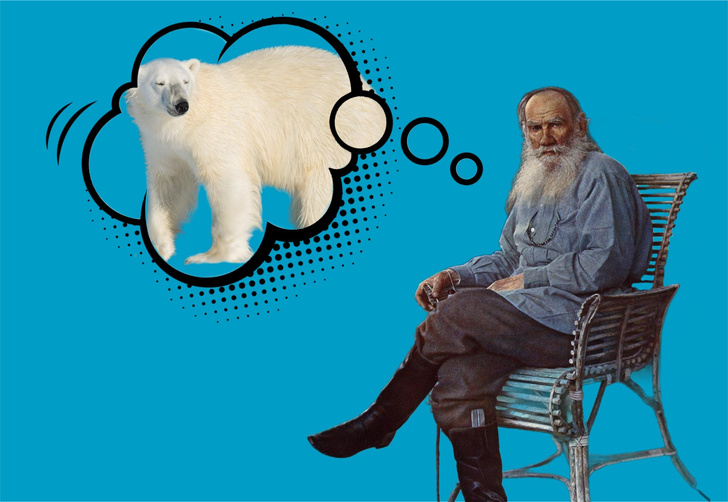 Не думай о белом медведе: что такое и как работает эффект бумеранга наука,психология
