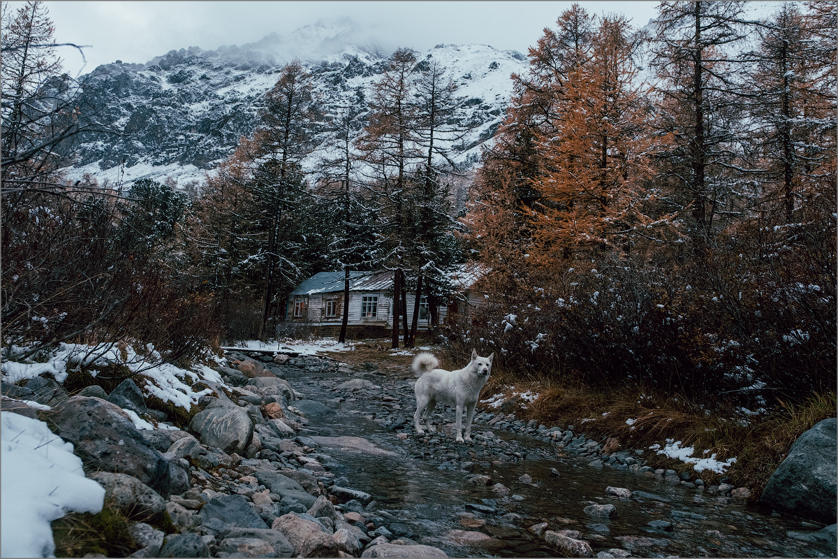 Алтай Елены Петровой: мечта длиною в 7 лет Алтай,города,история,турист,фототур