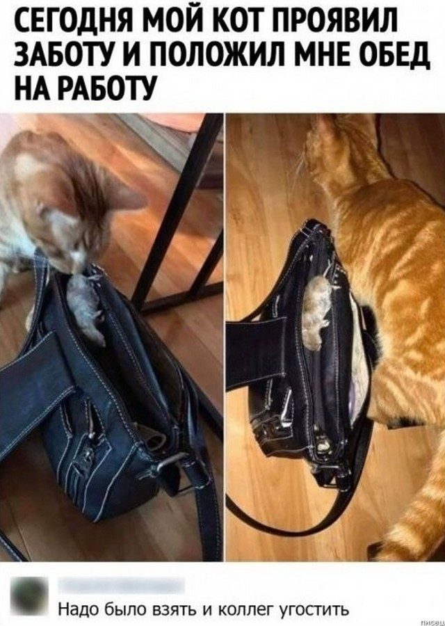 100% приколы апреля из социальных сетей 100% приколы апреля из социальных сетей позитив,смешные картинки,юмор