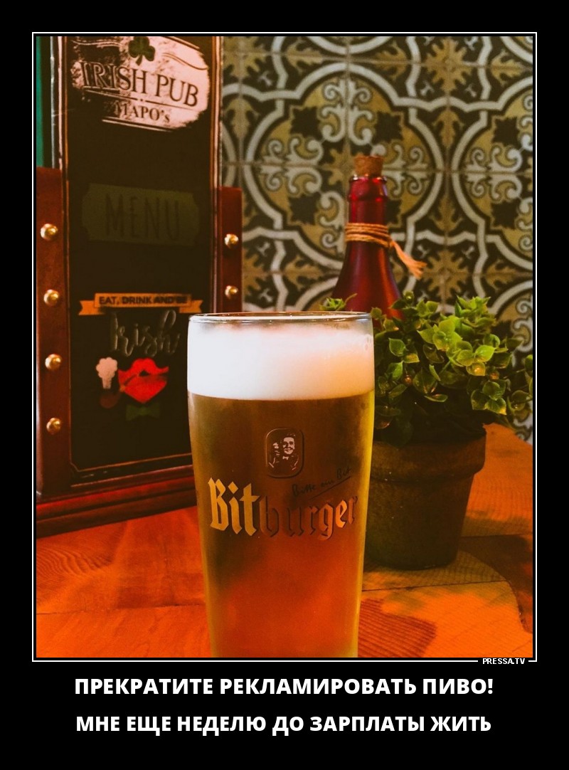 Забавные и веселые жизненные демотиваторы 