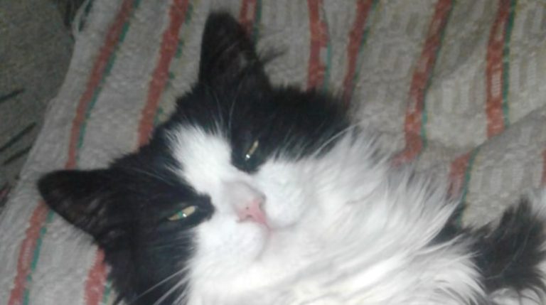 BeFunky-collage (11)