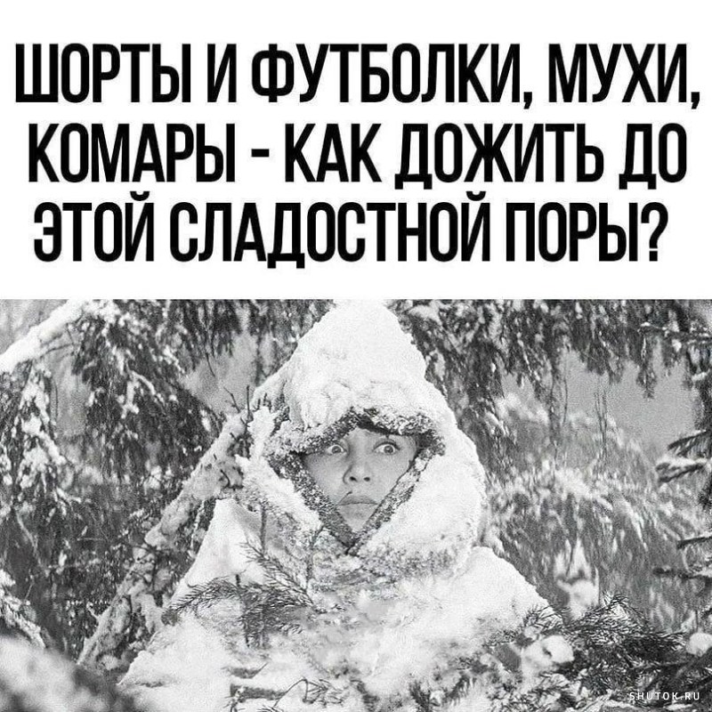 Настоящую женщину никаким мужем не испортишь... Настоящую женщину никаким мужем не испортишь... времени, Гайки, такой, будет, чтобы, собака, заявила, вдруг, дальшеЖена, комментарий, оставила, посты, свежие, понюхала, заглянула, сорванцы, Бежит, твиттер, собачий, деревья