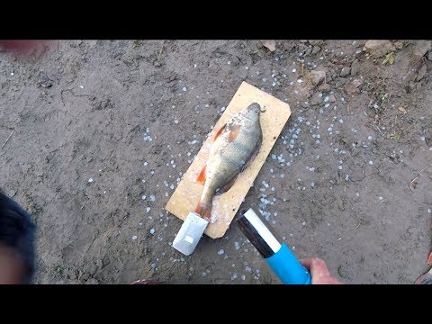 Для тех, кто устал чистить окуней