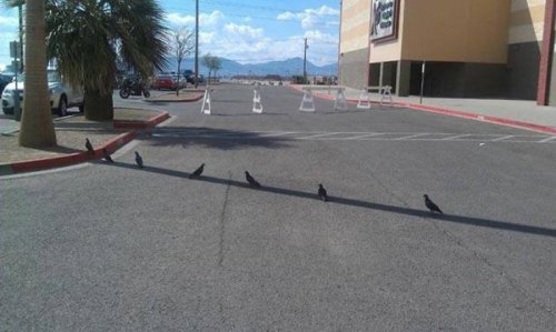 22 жаркие летние фотографии, чтобы согреться 