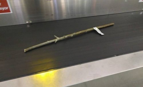 ОТПУСК/КАНИКУЛЫ ОТПУСК/КАНИКУЛЫ