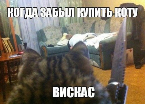 Прикольные картинки дня (55 шт)