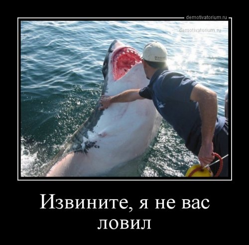 Смотри, какой я симпатичный с этим выключенным светом...)) Смотри, какой я симпатичный с этим выключенным светом...)) веселые картинки