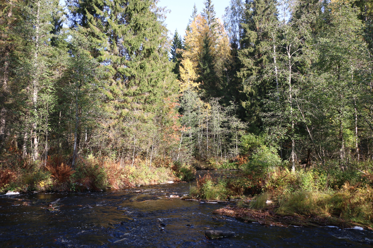 Разноцветная Карелия 